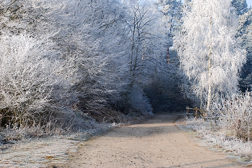 Ostrzeżenie meteorologiczne – Opady marznące!