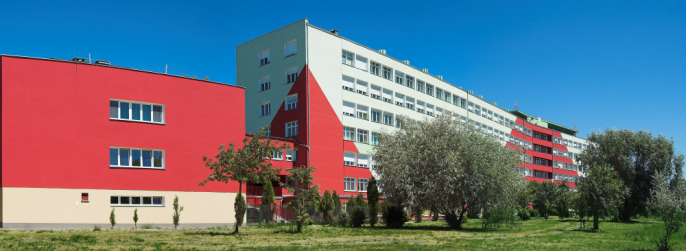 Szpital w Koninie wciąż bez dyrektora