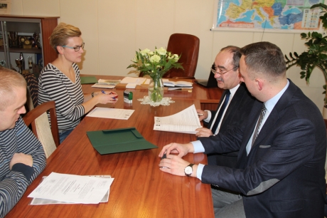 Zagospodarowanie terenów zielonych przy Centrum Kultury w Witkowie