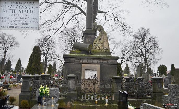 Zapomniana pisarka z Lisewa