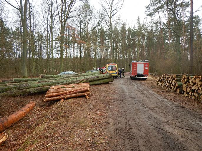 Tragiczne zdarzenie w lesie.