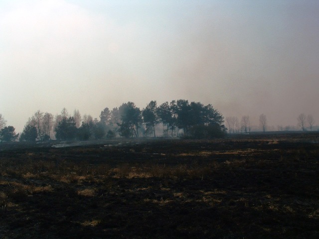 Państwowa Straż Pożarna ostrzega