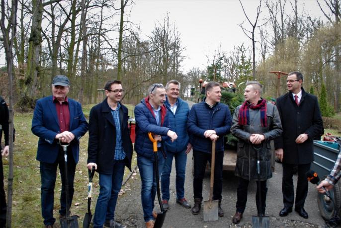 Działacze PO posadzili dziesięć drzew