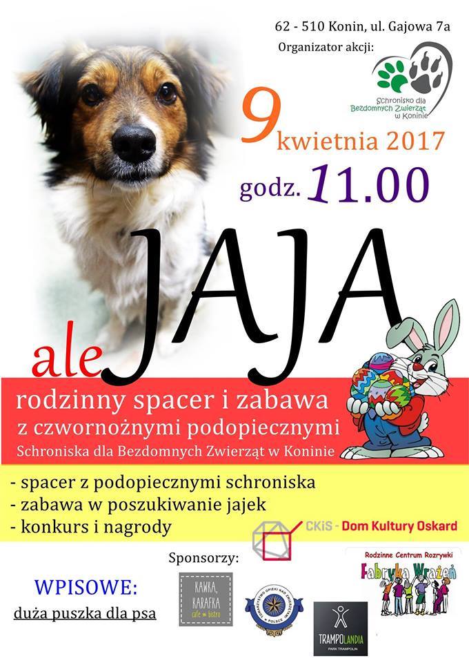 ,,Ale jaja” w schronisku