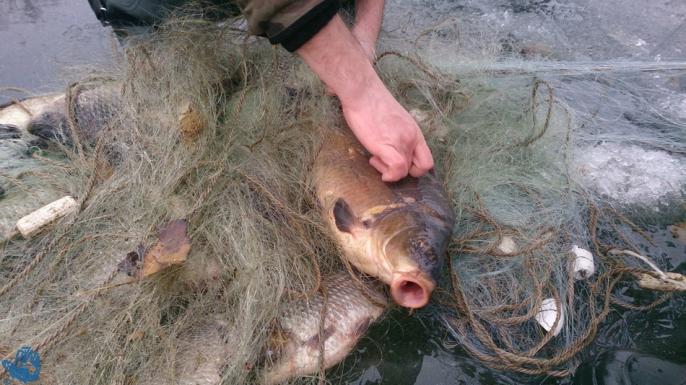 Dwie osoby z zarzutami za kłusownictwo