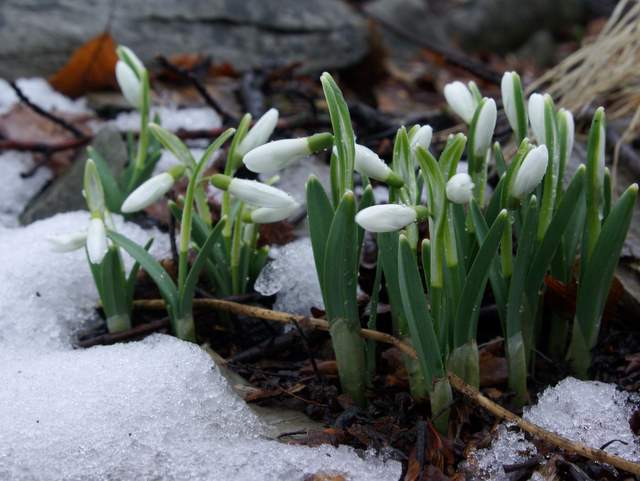 Będzie naprawdę zimno