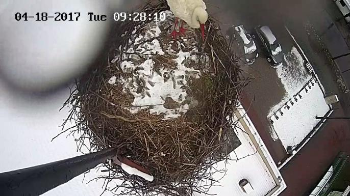 Przepraszam, ale to chyba żart