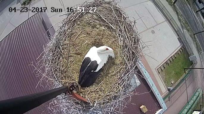 Pamiętacie Państwo ?