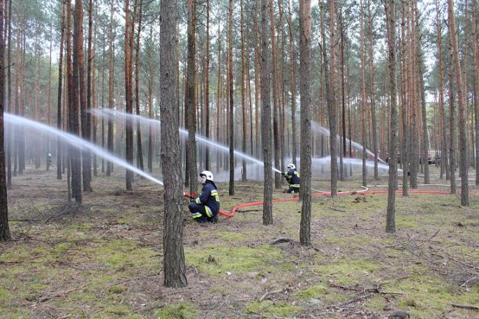 Ćwiczenia LASY 2017