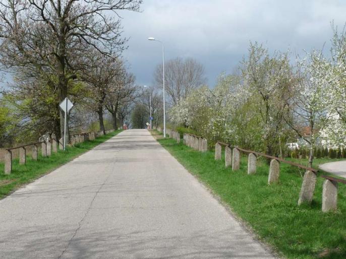 Budowa oświetlenia ulicznego w Orchowie