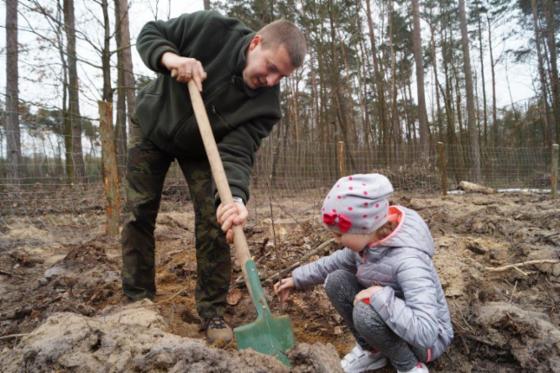 1000 drzew na minutę