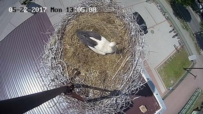 Co nowego u Władusia ?