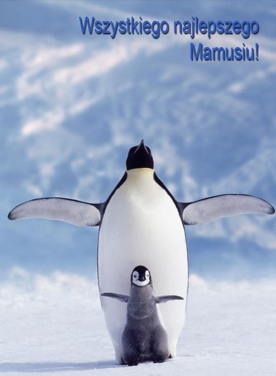 Wszystkiego najlepszego od wszystkich dzieci !