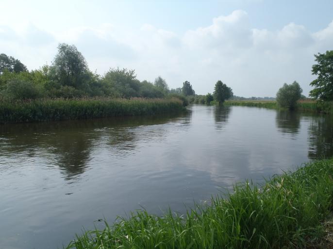 Wędkarz wpadł do rzeki Warty w Kole