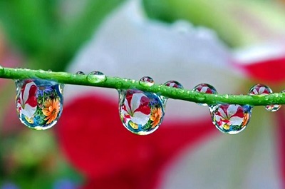 Woda – co o niej wiesz, a czego nie wiesz