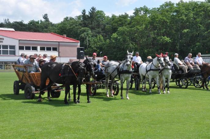 ZAWODY W POWOŻENIU ZAPRZĘGAMI KONNYMI