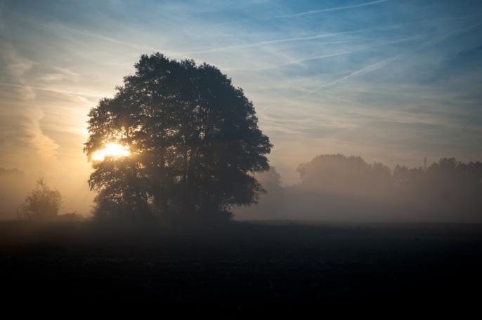 Piękny Świat Marcina Olińskiego