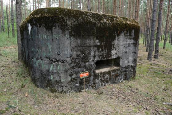 Bunkry w lesie