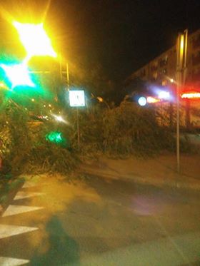 Czytelnicy piszą – Krajobraz po burzy