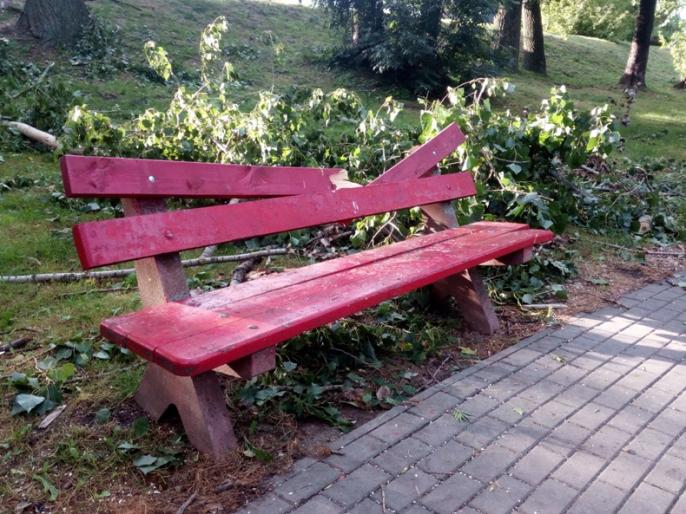 Konin: Krajobraz po nawałnicach