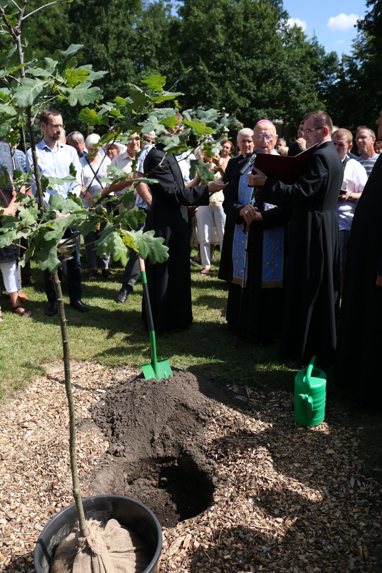 Nieszpory i Msza św. pod przewodnictwem abpa Wojciecha Polaka, Prymasa Polski