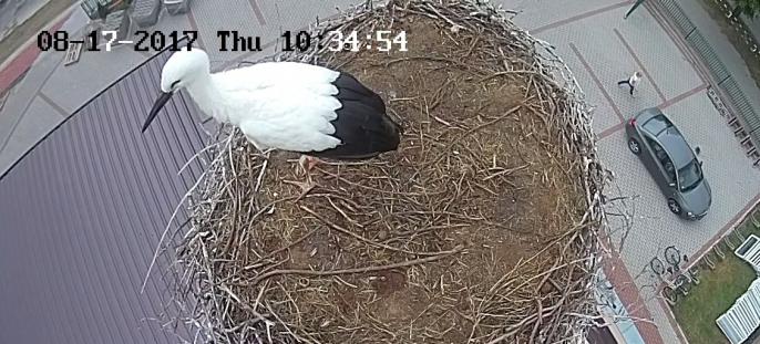 Co nowego u Władusia ?