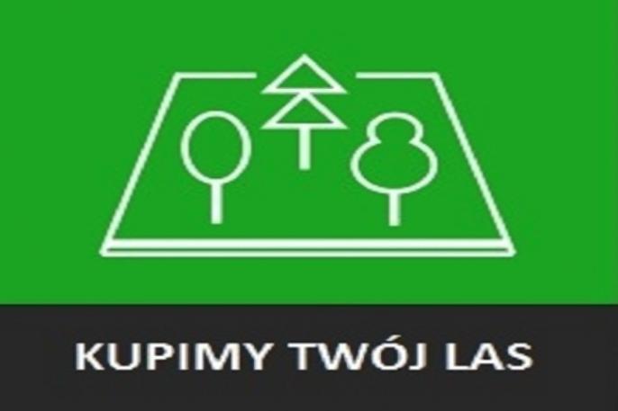 Nadleśnictwo kupi las