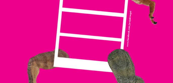 Bliskie spotkania z książką