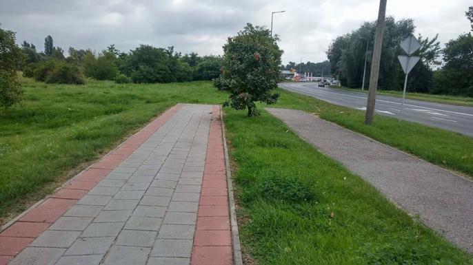 W Koninie, czyli nigdzie – Droga do nikąd