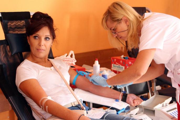 Krwiodawcy w Kramsku