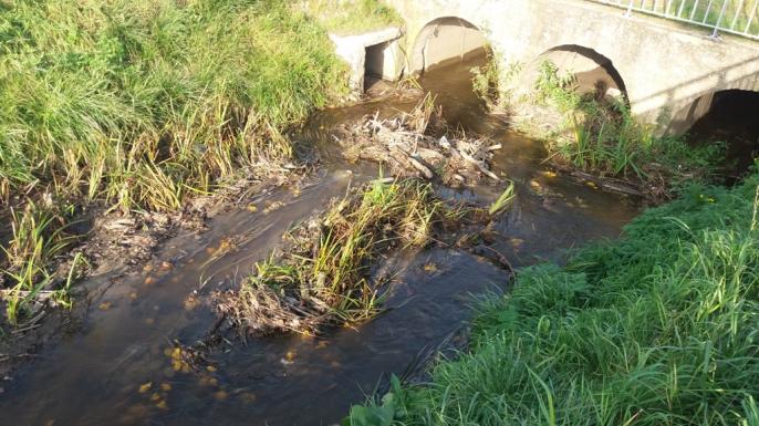 Kto odpowiada za ciek Folusz ?