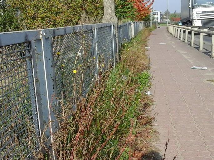 Czy miasto istnieje teoretycznie ?