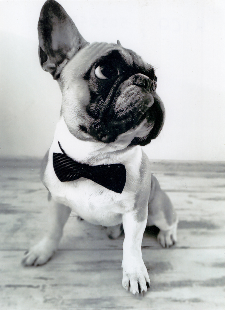 Najsympatyczniejszy Pupil Gminy Witkowo