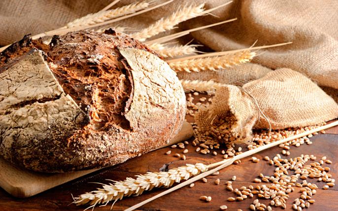 Święto chleba w Potworowie