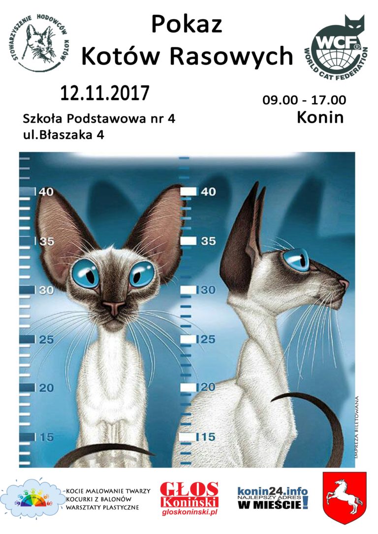 Przypominamy miłośnikom kotów