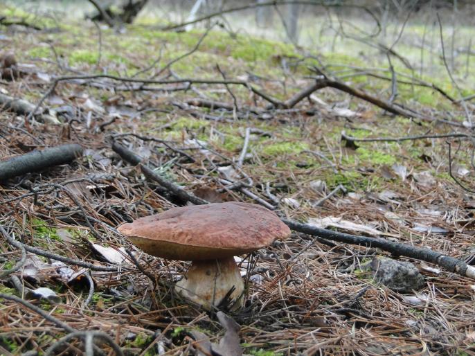 Tym co nie tracą nadziei