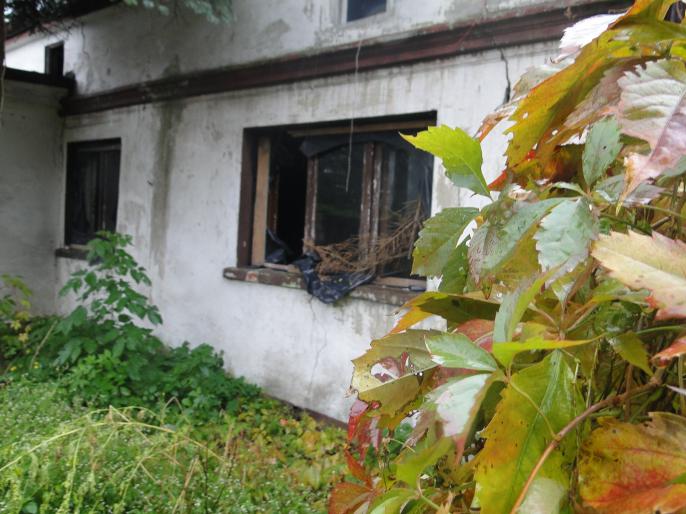 Konin, którego nie będzie – Kolekcjoner