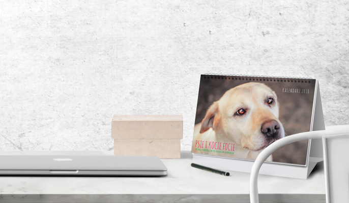 Kalendarz Psie i kocie focie