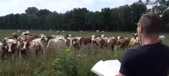 Nauka bez granic. Komunikacja ze zwierzętami już jest możliwa.