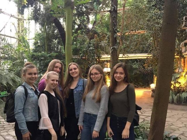 Uczniowie Norwida na Uniwersytecie Medycznym