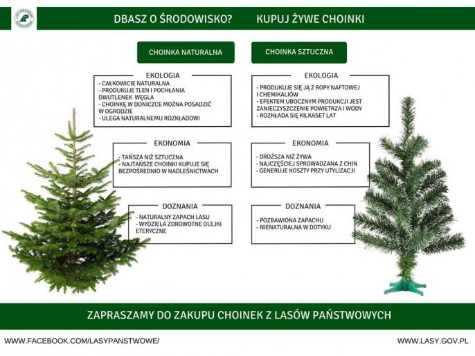 Jaką choinkę wybrać na święta?