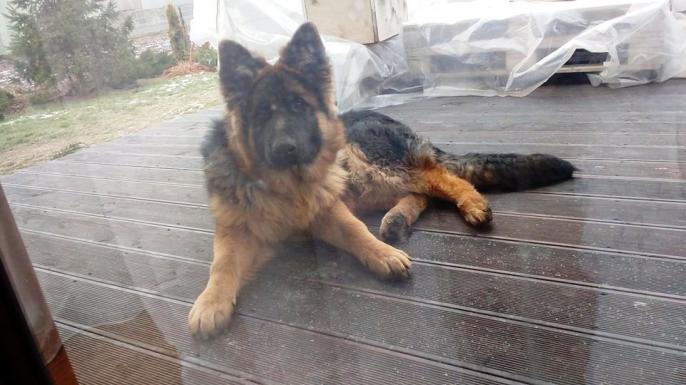 Czytelnicy piszą …