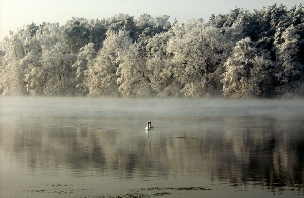 A nam nie jest zimno …