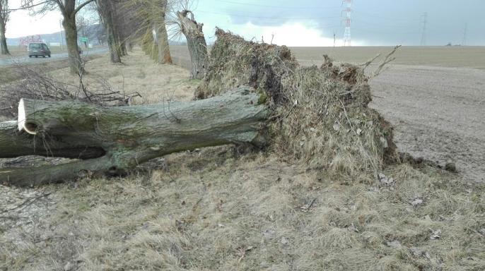 KOMUNIKAT OSTRZEGAWCZY