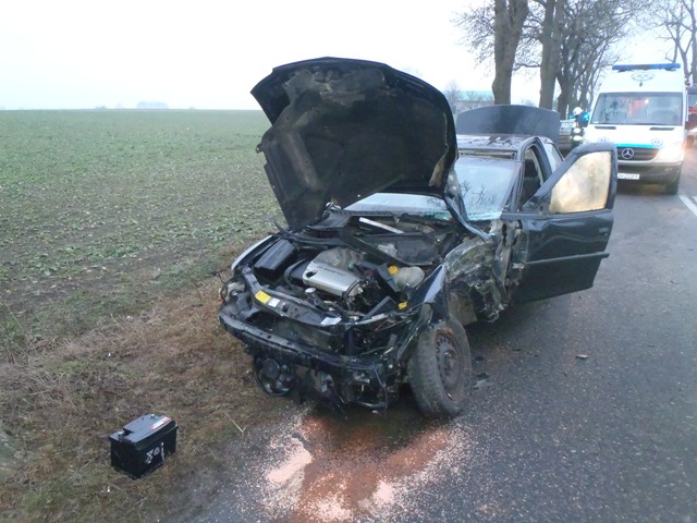 Samochód uderzył w drzewo w Orchowie