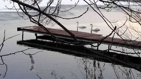 Czytelnicy piszą…