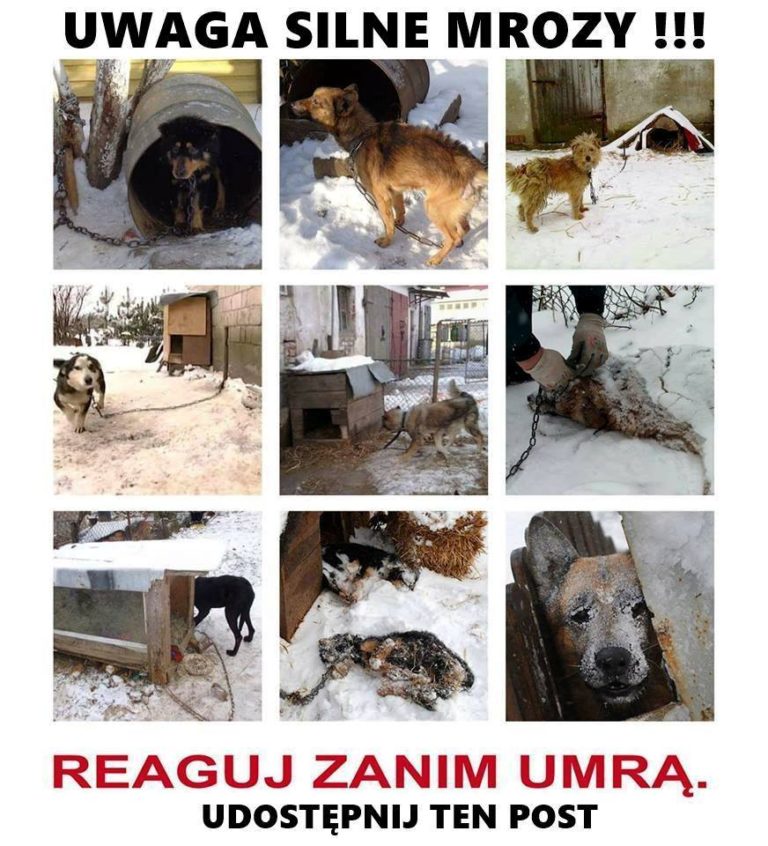 Zatroszcz się o swoich przyjaciół