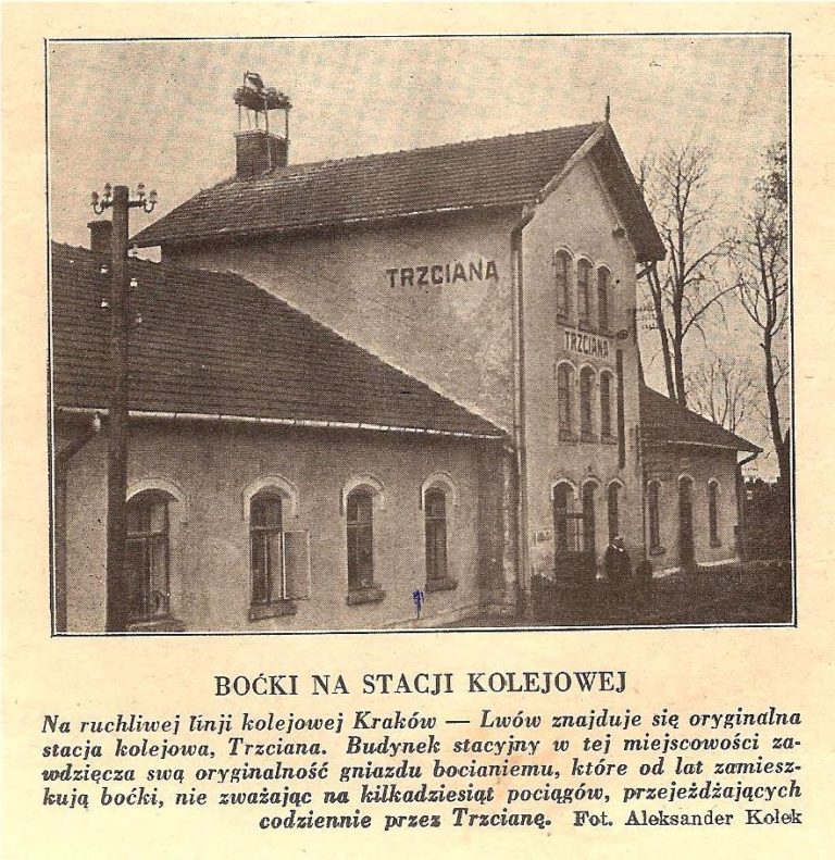Lata trzydzieste – Bocian zawiadowca