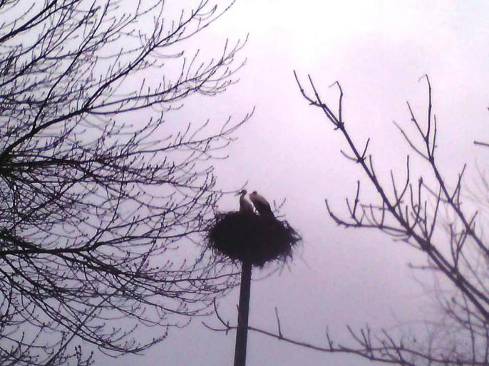 Czytelnicy piszą …. – Już są !