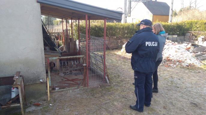 Kontrolowali właścicieli psów